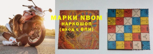 прущие грибы Алексин