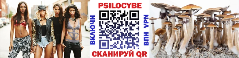 Псилоцибиновые грибы MAGIC MUSHROOMS  Балей 