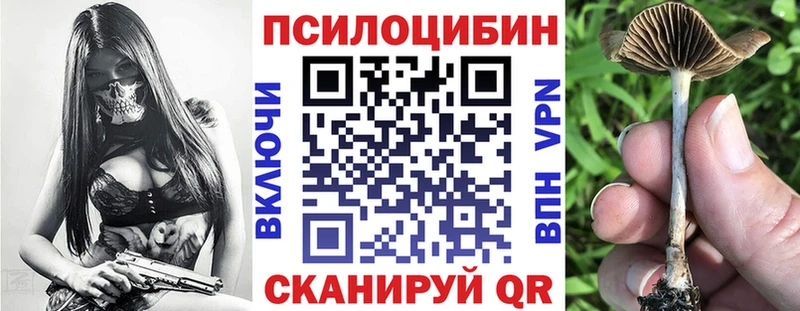 Псилоцибиновые грибы Psilocybine cubensis Балей